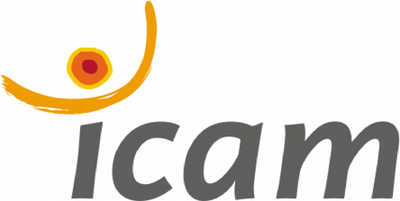 Logo de ICAM site de Toulouse