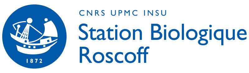 Logo de Sorbonne Université